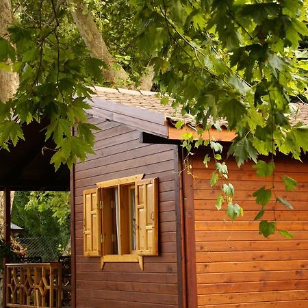 Maji Village Çıralı Buitenkant foto