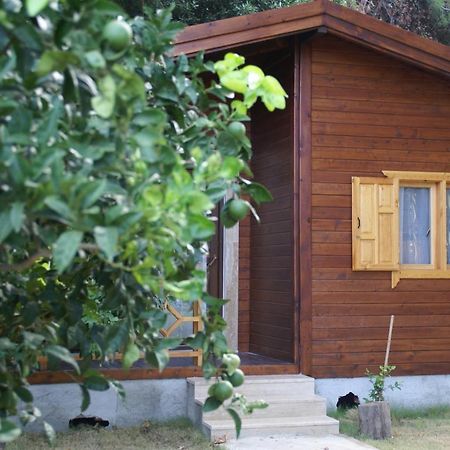 Maji Village Çıralı Buitenkant foto