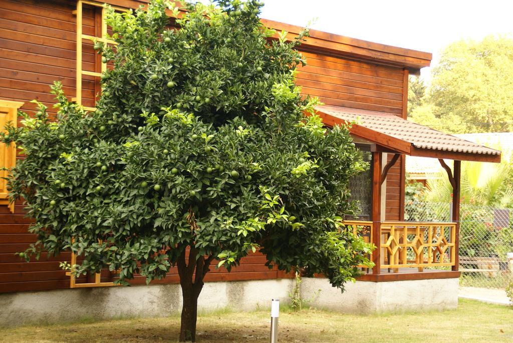 Maji Village Çıralı Buitenkant foto