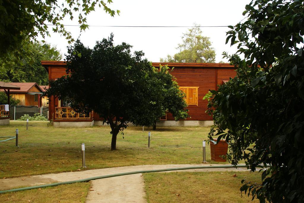 Maji Village Çıralı Buitenkant foto