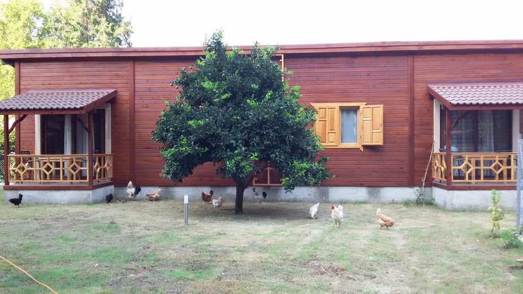 Maji Village Çıralı Kamer foto
