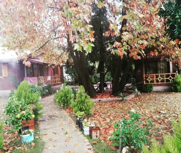 Maji Village Çıralı Buitenkant foto